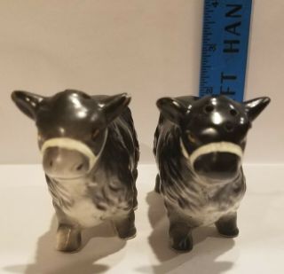 Black Angus Cow Salt And Pepper Shakers Vintage Japan Ceramic Farm Animals