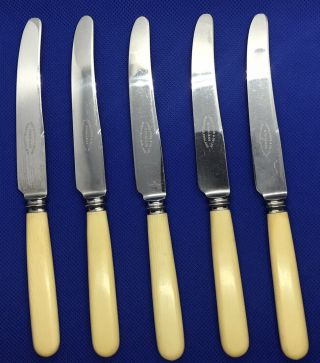 5 Vintage Faux Bone Butter Knives Stainless Cutlery Sheffield - Lewis Rose & Co