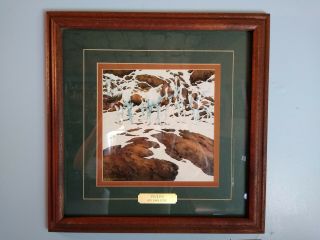 Framed And Matted Art Print " Pintos " By Bev Doolittle,  1978