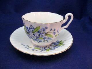 Royal Imperial Vintage Tea Cup And Saucer - Forget - Me - Nots Flowers - Ribbed Set