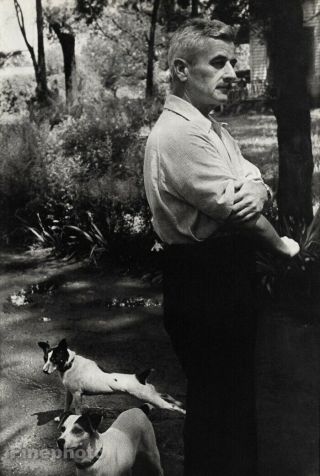 1947 William Faulkner Writer Vintage Henri Cartier - Bresson Rat Terrier Dog Photo