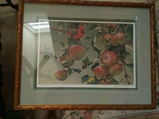 Robert Bateman Art Cardinal In Apple Tree