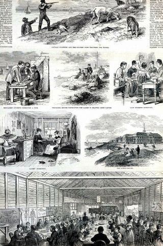Penikese Island Massachusetts 1873 Anderson School Natural History Print W Story