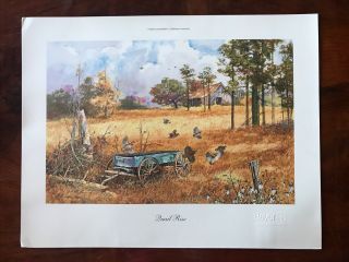 Jack C.  Deloney Quail Rise Limited Edition Print Signed Numbered 18” X 14” W/coa
