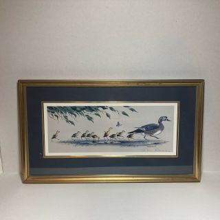 Jerry Raedeke Print Ducks Signed Matted Framed 25” X 15”