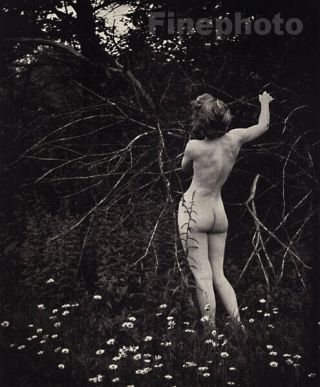 1937 Female Nude Outdoors Art Deco Photo Litho Alfred Cheney Johnston
