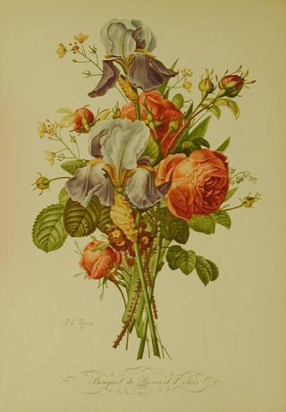 Jean - Louis Prevost - Vintage Floral Bouquet De Roses,  Iris.  No 5.  Velin - 1940
