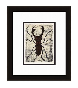 Exciting 1967 Bernard Buffet Color Lithograph " The Funky Stag Beetle " Framed