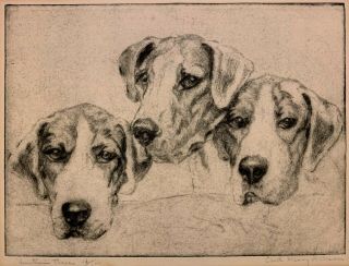 Edith Derry Willson 20th C.  American Signed Etching Hunters Three Hound Dogs