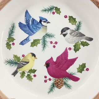 Sonoma Lifestyle Knollwood Pattern Ceramic Pie Plate Server Cardinal Finch Birds 2