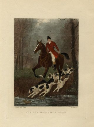 Foxhounds Horse And Red Coat Rider Crossing The Stream Fox Hunting Color Print