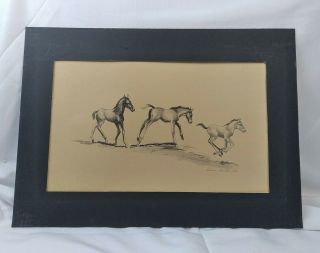 Three Foals 1963 Signed Lithograph - Victoria Hutson Huntley Htf