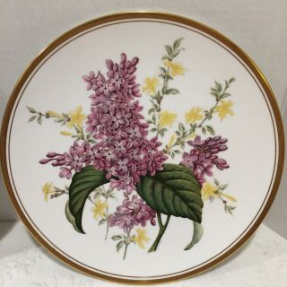 Garden Flowers By Spode No.  3 Lilac Forsythia Spring Hard To Find