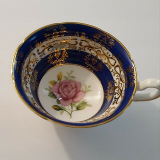 Vintage Royal Grafton Fine Bone China Single Teacup (england)