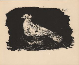 Pablo Picasso - Dove On Black Background Rare East German Gdr Heliography 1956