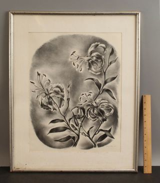 1931 Antique Signed Victoria Hutson Botanical Lily Flower Lithograph Print,  Nr