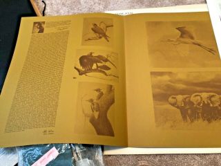 Guy Coheleach - Limited Ed.  Print - Signed - AMERICAN KESTREL - Plate XVIII 3