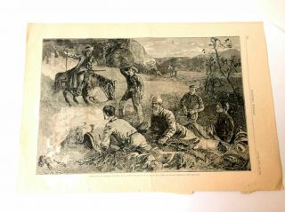 Cow - Boys Of Arizona Drawn By W.  A.  Rogers Sketch By Frederic Remington (1882)