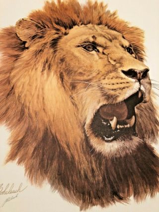 Guy Coheleach - Limited Ed.  Signed Print - African Lion - Plate Xxiii