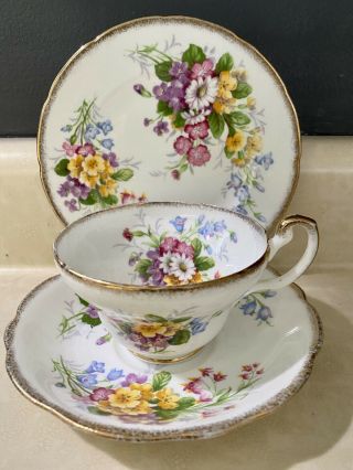 Eb Foley Teacup,  Saucer And Dessert Plate Meadowsweet Floral