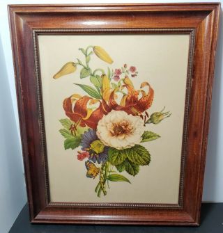 Vintage 1930s - 40s Botanical Flower Art Print Framed Jl Prevost?14×11 Shabby Chic