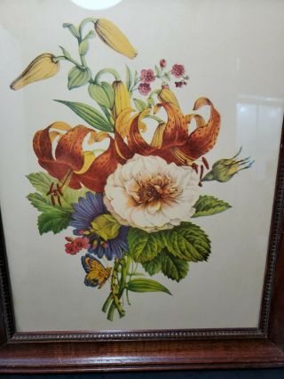 Vintage 1930s - 40s Botanical Flower Art Print Framed JL Prevost?14×11 Shabby Chic 3