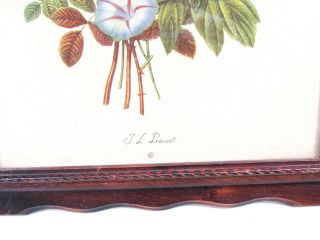 J.  L.  Prevost Botanical Flower Print Wood Framed Floral Bouquet Vintage 3