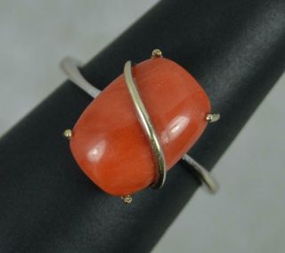 Vintage 18 Carat White Gold And Single Coral Solitaire Statement Ring