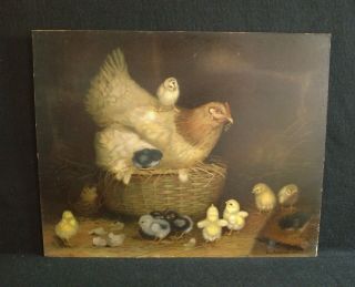 Ben Austrian 1900 Chromolithograph Hen With Chicks Slight Damage Large