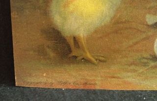Ben Austrian 1900 Chromolithograph Hen With Chicks Slight Damage LARGE 3