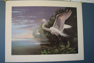 Didier,  Les " White Egrets At Pelican Bay " Le Sn Image 18 " X 24 " Copyright 1989