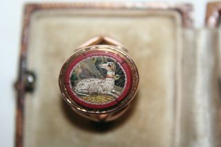Early Victorian Micro Mosaic Ring Featuring Italian Greyhound On 9ct Rose Gold