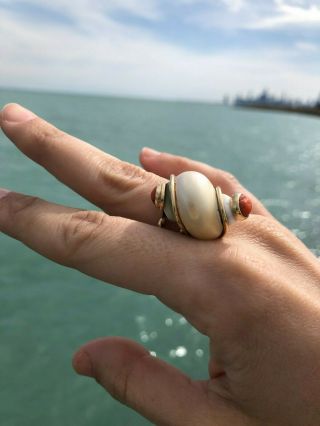 Rare Vintage Seaman Schepps 14K Gold Turbo Shell and Coral Ring 3