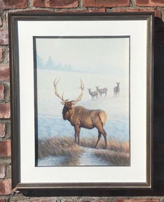 Signed Watercolor Of Elk By Western Regional Montana Artist Tom Saubert