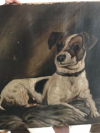 antique terrier dog oil painting.  18” X 17” 2