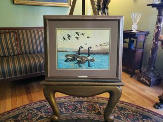 Vintage Watercolor Painting - Listed Artist Jodie Boren - Wildlife (geese) - Detailed