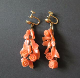 Antique Victorian Carved Salmon Coral Multi Rose 14k Gold Earrings 8.  4 Grams