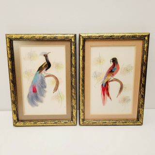 2 Vintage Real Feather Art Picture Of A Bird Made Of Feathers In Wooden Frame