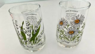2 - 1970 Brockway Flower Of The Month Glass Tumbler Daisy & Lilly Of The Valley