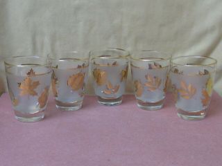 5 Gold Leaf Frosted Glasses Lowball Liqueur Vintage Mcm