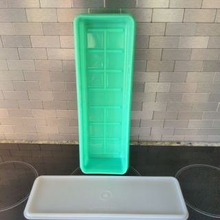 Vintage Tupperware Green Celery Keeper Crisper Container 892 - 9 With Lid 893 - 2