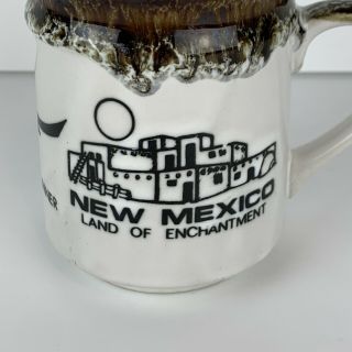 Vintage Stoneware Mexico Road Runner Coffee Cup Mug Rug Weaver Toas NM Flag 2