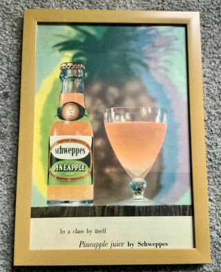 Vintage Advertisement,  Schweppes Pineapple Juice,  1950s,  Bar Display,  Framed