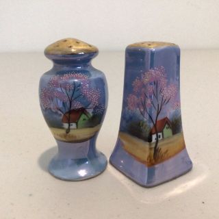 Vintage J.  Design Ceramic Hand Painted Salt & Pepper Pots.  Made In Japan 453