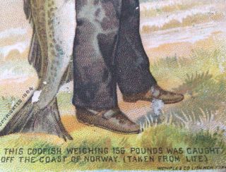 1884 Victorian Trade Card,  SCOTT’S EMULSION OF PURE COD LIVER OIL,  Man W/Fish 3