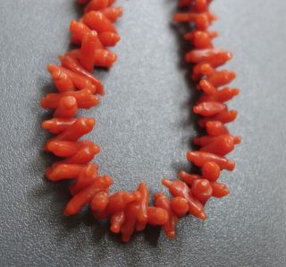 Lovely,  Rare,  Long,  Georgian,  Real Carved,  Rolling Pin Coral Bead Necklace 18g
