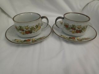 Inarco Japan Spice Of Life Set Of 2 Cups And Plates