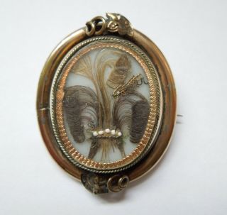 Large Victorian Mourning Brooch Prince Of Wales Hair Work,  Pinchbeck,  Swivel