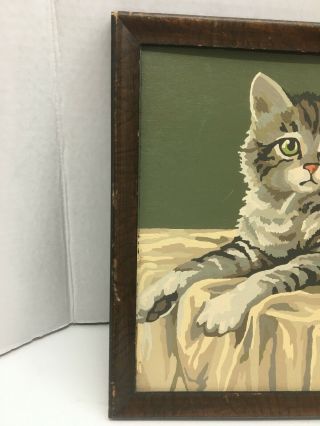 VINTAGE Framed Paint By Number 10” High X 13” Wide Gray Kitten CAT Flowers 3