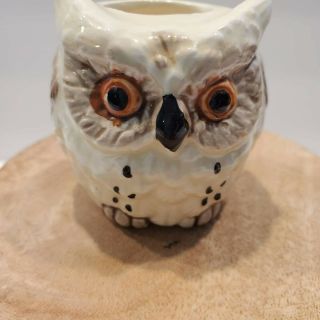 Vintage Retro Owl Toothpick Match Holder Ceramic Japan